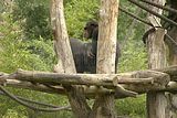 leipzig zoo-01_07_2011_zoo_allgemein_219